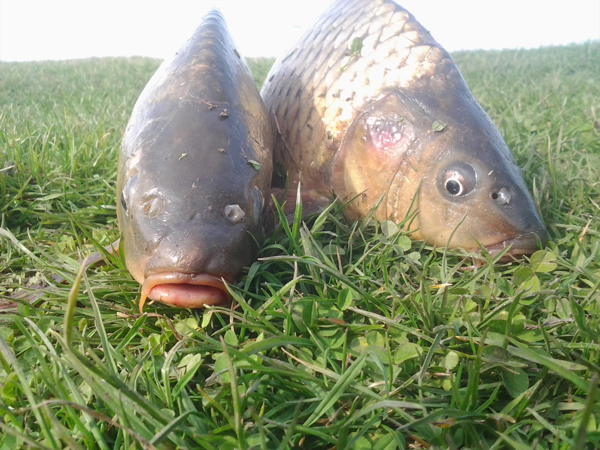 Primavara pe Matara - cum i-am scos pe mal au inghetat,